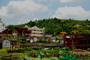 黃花村景照