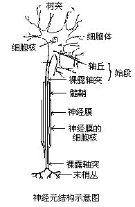 性格類型