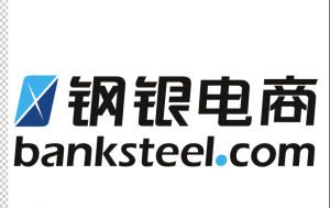 上海鋼銀電子商務有限公司