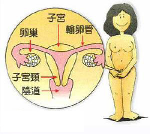 繼發性閉經