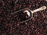 黑咖啡豆