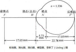 標準眼