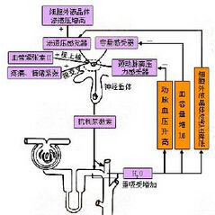 心房鈉尿肽