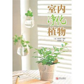 《室內淨化植物》