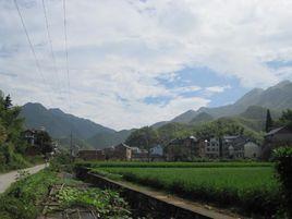 梅峰村[浙江紹興縣福全鎮下轄村]