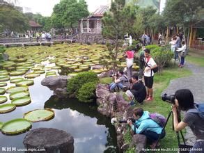 雙溪公園 