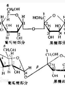 還原性糖