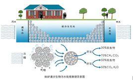 污水生物處理