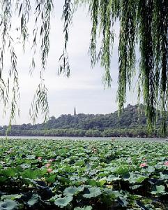 內蒙古大青溝國家級自然保護區