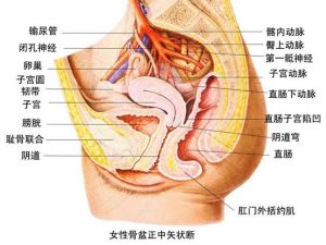 直腸息肉