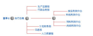 河南大用實業有限公司