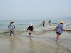 （圖）平海鎮