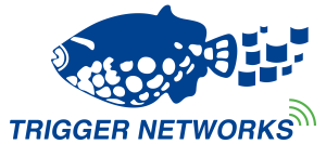 Trigger Networks