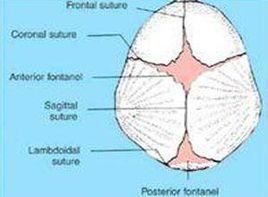 前囟張力增高