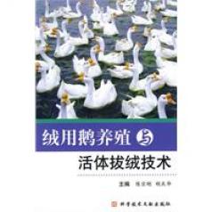 絨用鵝養殖與活體拔絨技術