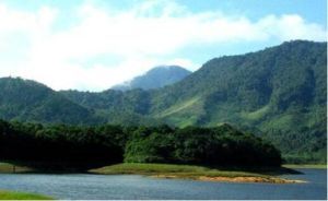 鼎湖峰