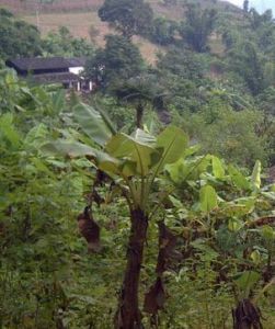 亮水塘自然村