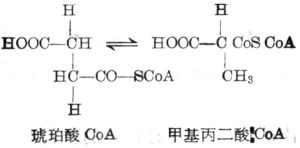 甲基丙二酸尿症