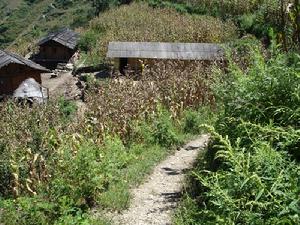 亞平尼自然村基礎設施－進村道路