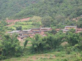 回頭村[雲南省雙柏縣法脿鎮下轄村]