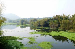 平原鎮[雲南省盈江縣平原鎮]