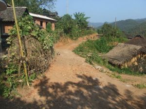 南紹里自然村進山道路