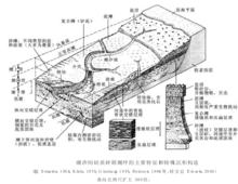 潮坪體系