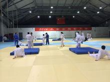 北京奧東武道體育發展有限公司