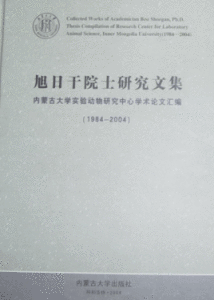 《旭日乾院士研究文集》