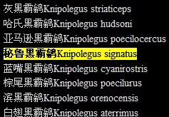 秘魯黑霸鶲（Knipolegus signatus)