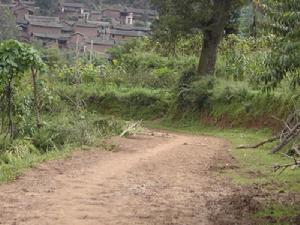 進村道路