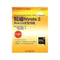 《精通Struts2》