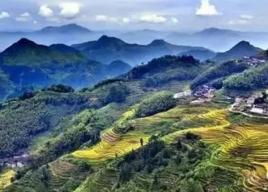 朱坊村[福建邵武市拿口鎮下轄村]