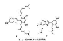 化合物6和7的分子結構