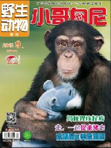 小哥白尼·野生動物畫報