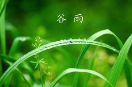 穀雨[左河水的詩作]