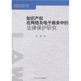 智慧財產權在網路及電子商務中的法律保護研究