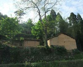 山前村[內蒙古赤峰市元寶山區轄村]