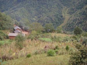 村情概況小竹坪村隸屬於白石鎮順盪行政村，屬於山區。位於白石鎮北邊，距離順盪村委會5.00公里，距離白石鎮23.00公里。國土面積9.40平方公里，海拔2,400.00米，年平均氣溫11.90 ℃，年降水量760.00毫米，適宜種植包穀、芸豆、泡核桃等農作物。有耕地160.94畝，其中人均耕地1.23畝；有林地13,134.30畝。全村轄1個村民小組，有農戶29戶，有鄉村人口131人，其中農業人口131人，勞動力53人，其中從事第一產業人數49人。2006年全村經濟總收入20.06萬元，農民人均純收入 687.00 元。該村屬於絕對貧困村，農民收入主要以種植業為主。