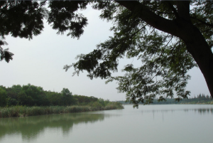 崑山市城市生態森林公園