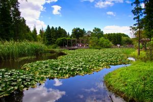 上海濱江森林公園