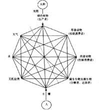 草地生態系統的組成成分和影響因素及它們之間的相互關係