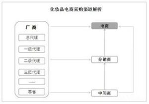 化妝品垂直電商行業白皮書