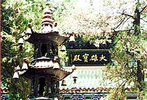 少林寺[佛教寺廟]