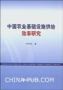 中國農業基礎設施供給效率研究