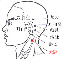 顱息穴所在的位置