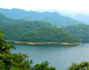 廣東河排森林公園