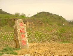 採摘度假園