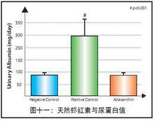 蝦青素與蛋白尿減少