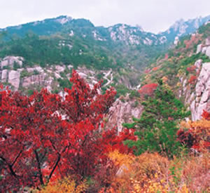 嶗山國家森林公園